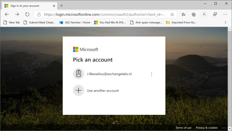 Microsoft Online Portal